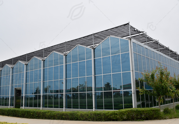 农业项目投资,运营,咨询