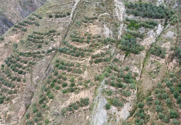 农业项目投资,运营,咨询