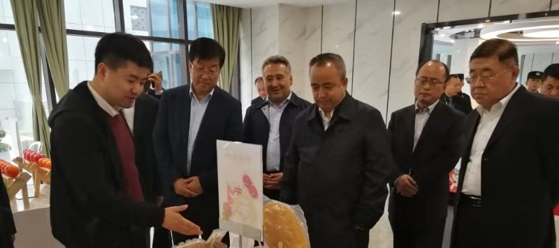 农业项目投资,运营,咨询