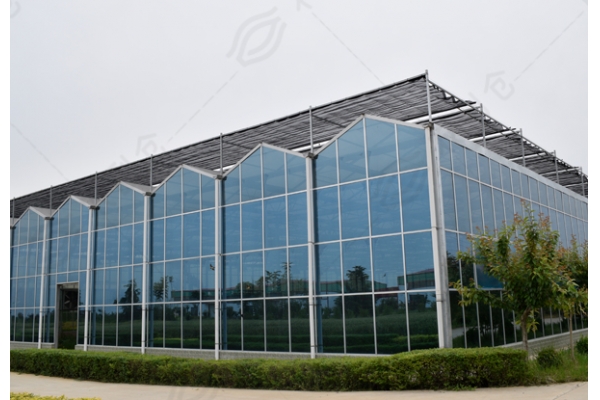 花椒种植加工产业示范园