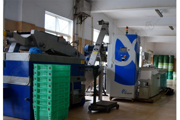 甘肃橄榄油产业提升项目