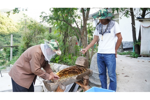 佛坪土蜂蜜品牌建设项目