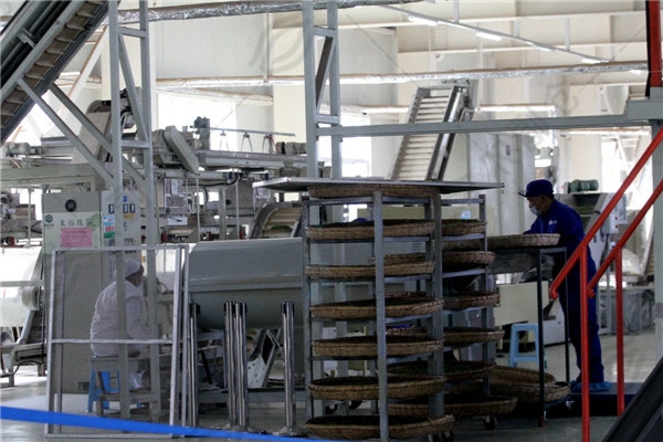 汉中仙毫茶叶产业融合促进计划