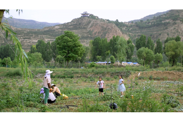 甘谷特色农业示范园