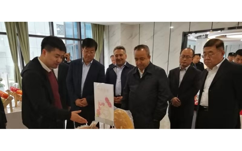 新疆维吾尔自治区党委常委、区政府副主席 艾尔肯&middot;吐尼亚孜 莅临指导